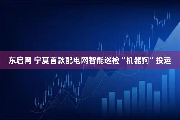 东启网 宁夏首款配电网智能巡检“机器狗”投运