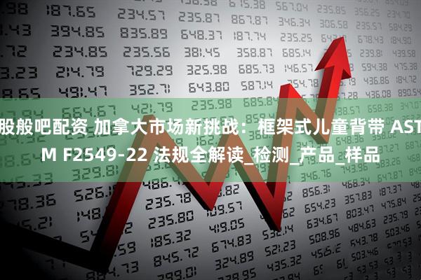 股般吧配资 加拿大市场新挑战：框架式儿童背带 ASTM F2549-22 法规全解读_检测_产品_样品