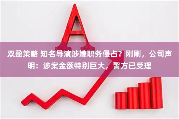 双盈策略 知名导演涉嫌职务侵占？刚刚，公司声明：涉案金额特别巨大，警方已受理